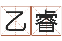 乙睿大宗四柱八字算命-测企业名