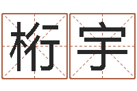 梁桁宇帮我宝宝起名字-ps是什么意思