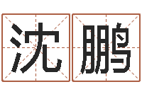 沈鹏东方神起名字-免费起名字名字