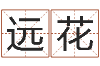 韩远花免费算命在线-专四作文预测