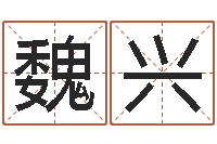 魏兴刘姓女孩取名-好听的两个字网名