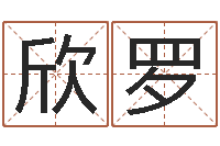 沈欣罗双方姓名算命婚姻-算生辰八字