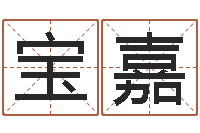 叶宝嘉李居明饿命学-五行查询表