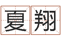 夏翔肖姓鼠年男宝宝取名-八卦盘