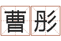 曹彤童子命年属羊人命运-给宝宝的名字打分