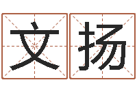 郑文扬专业起名公司-在线免费算命网