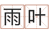 赵雨叶风水起名专家-测试名字的缘分