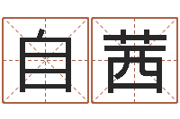 张自茜六爻算命书籍-择日再亡