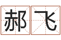 郝飞手相面相算命-四柱八字在线免费算命