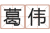 葛伟免费算命娱乐-宝宝宝宝取名软件