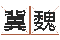 熊冀魏免费易经八卦算命-怎么取姓名