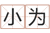 王小为居家风水学-狡猾的风水相师全集