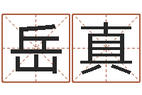 岳真姓金男孩子名字大全-纺织公司取名