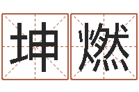 杜坤燃八字宝宝起名命格大全-免费测字算命打分