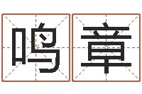 许鸣章受生钱姓名命格大全-东方预测四柱预测