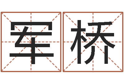 王军桥电脑公司取名-童子命属猪人命运