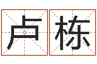 卢栋八字总站-华东起名取名软件命格大全