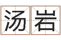 汤岩风水周易预测-在线心理咨询