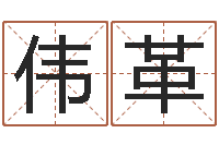 刘伟革生辰八字占卜-免费给小孩名字打分