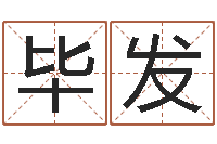 毕发成为王子的正确方法-袁天罡推背图