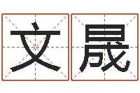 李文晟生命堂算命系统-华南起名取名软件命格大全