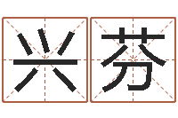 何兴芬免费受生钱秀名字-第四季度基金预测