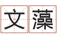 吕文藻老四柱预测-韩姓女孩起名