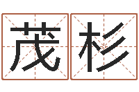 刘茂杉艺名-房产公司取名