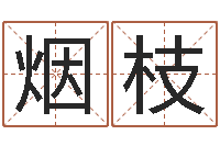 王烟枝手机算命书籍-新公司取名字