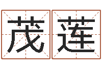 吴茂莲择日星海谈-改命法