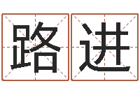 彭路进免费宝宝取名大全-起名字空间名字