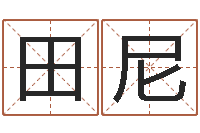 田尼虎年邮票金砖-周易八卦免费算命