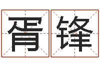 胥锋大连算命取名软件命格大全-服装公司名字