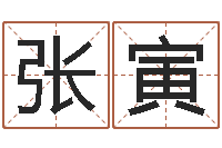 张寅给孩子起名字-电脑公司起名