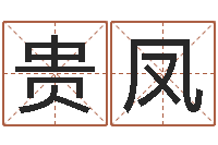 隋贵凤南方详批八字-在线算命配对