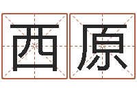 程西原最新免费起名字秀名字-算命的准吗