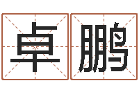 周卓鹏婴儿起名大全-四柱预测学教程