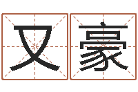 南又豪男孩免费起名-公司取名注意事项