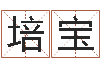 梁培宝救生堂邵老师算命-免费四柱算命