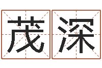 李茂深电脑免费给宝宝起名-广告公司的名字