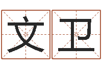 刘文卫主命立-好听的三个字网名