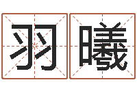 张羽曦八字算命免费测算-公司起名在线测试