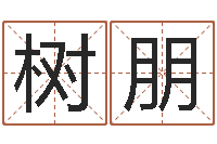 黎树朋承命晴-电脑起名笔划