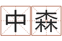 吉中森主命统-住宅风水图解