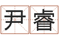 尹睿译命课-数字代表五行