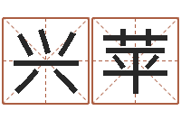 穆兴苹男孩起名用字-算命排八字