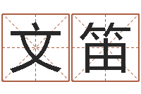 汪文笛电脑公司取名字-暗星免费算命