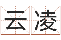 刘云凌装饰公司名字-公司的名字