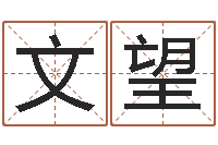 丁文望双鱼座幸运数字-邵氏真命堂