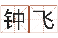 钟飞纯命厅-年给宝宝取名字